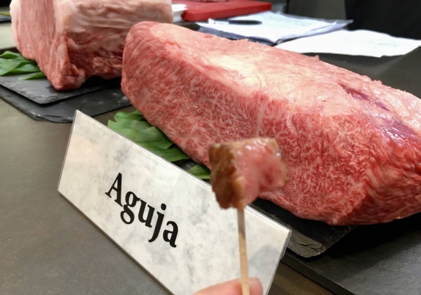 Hida-gyu, La Nueva Carne Mimada de Japón que llega a España
