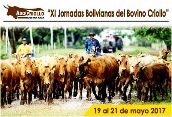 XI Jornadas Bolivianas del Bovino Criollo