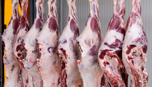 Sudamérica, y Sus Exportaciones Bovinas se Beneficiarán por la Peste Porcina Africana en China